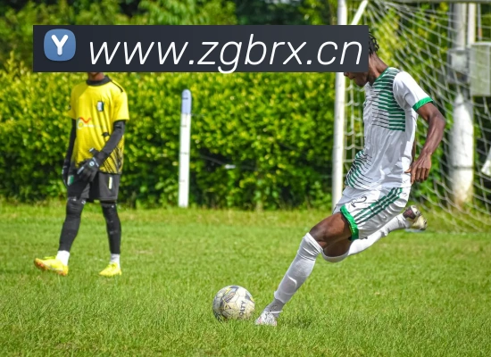 emc易倍全站网页版发展历程